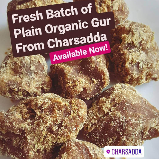 PLAIN ORGANIC GUR (Sada Gur)